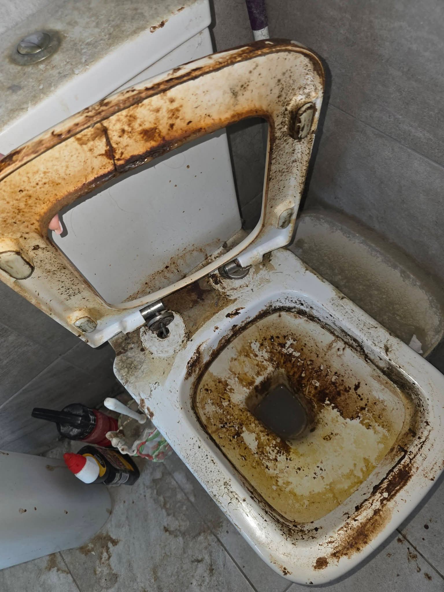 Cleaning work by Partners in Grime